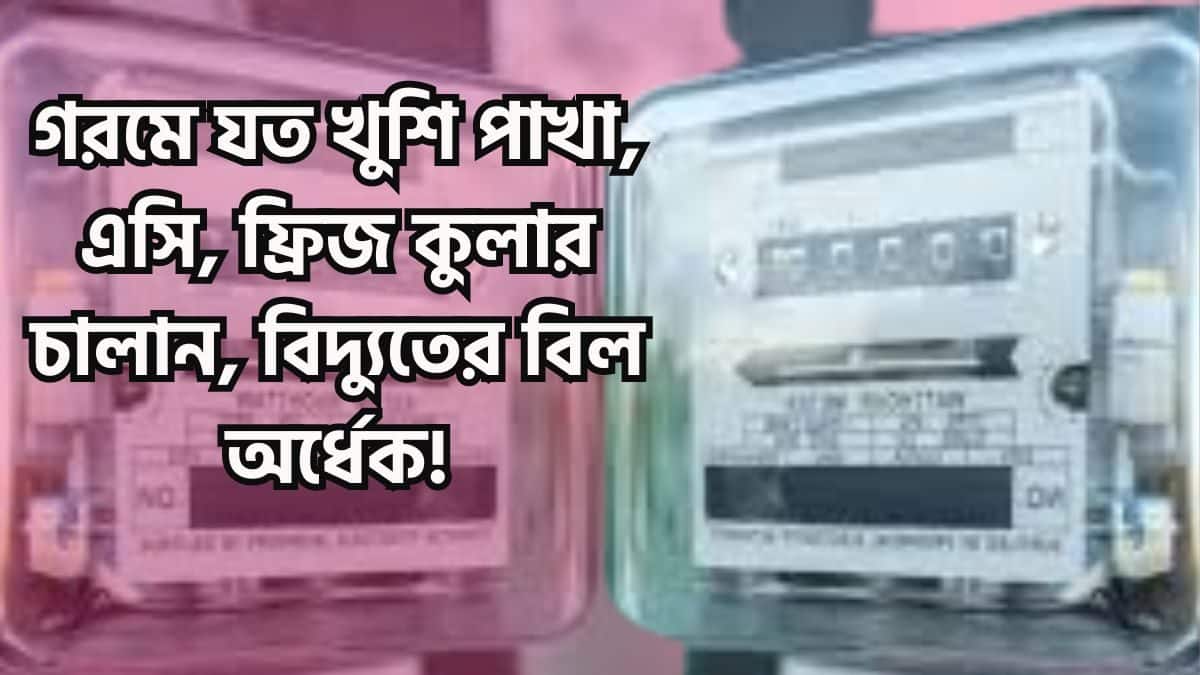 Tech News: যত খুশি পাখা, টিভি, ফ্রিজ, এসি চালান, বিদ্যুতের বিল অর্ধেক! শুধু মিটারের পাশে এই ছোট্ট ডিভাইজটি বসিয়ে নিন Tech News: যত খুশি পাখা, টিভি, ফ্রিজ, এসি চালান, বিদ্যুতের বিল অর্ধেক! শুধু মিটারের পাশে এই ছোট্ট ডিভাইজটি বসিয়ে নিন