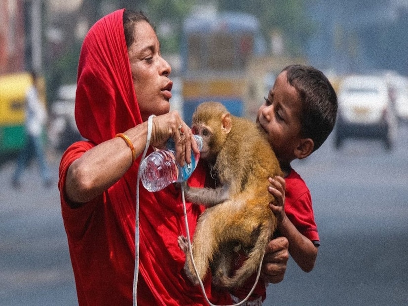 আগামী ৫ অক্টোবর পর্যন্ত আকাশ পরিষ্কার থাকবে বলে জানিয়েছে আবহাওয়া দফতর। এই সময়ে সর্বোচ্চ তাপমাত্রা ৩৫ ডিগ্রি সেলসিয়াসে পৌঁছতে পারে এবং সর্বনিম্ন তাপমাত্রা ২৫ ডিগ্রি সেলসিয়াসে পৌঁছতে পারে।