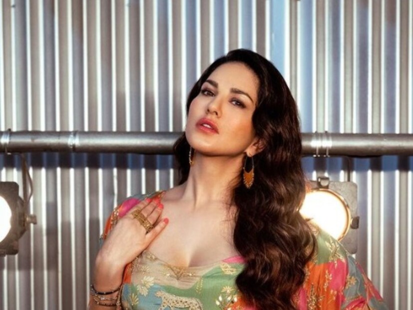 যদিও সানি নিজেই অনুমতি দিয়েছিলেন ভাইকে। তাই সেই সব পোস্টারে থাকত সানির সইও। সন্দীপ বলেছিলেন, তিনি তাঁর ঘরে সানির স্বাক্ষরিত নগ্ন পোস্টার লাগিয়ে রাখতেন যাতে কলেজের বন্ধুরা দেখতে পারে এবং তারপরে তার কাছ থেকে কিনতে পারে।