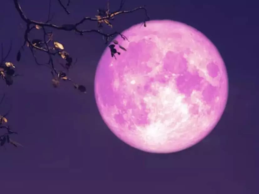 গোলাপী চাঁদে পঞ্চগ্রাহী যোগ গঠিত হচ্ছে। এর পাশাপাশি বুধাদিত‍্য যোগ মেষ রাশিতে বুধ ও সূর্যের মিলনের ফলে তৈরা হচ্ছে, শুক্র মীন রাশিতে আসার কারণে মালব‍্য রাজযোগ তৈরি হচ্ছে এবং শনি মূল ত্রিকোণ রাশিতে থাকার কারণে রাজযোগ তৈরি হচ্ছে।