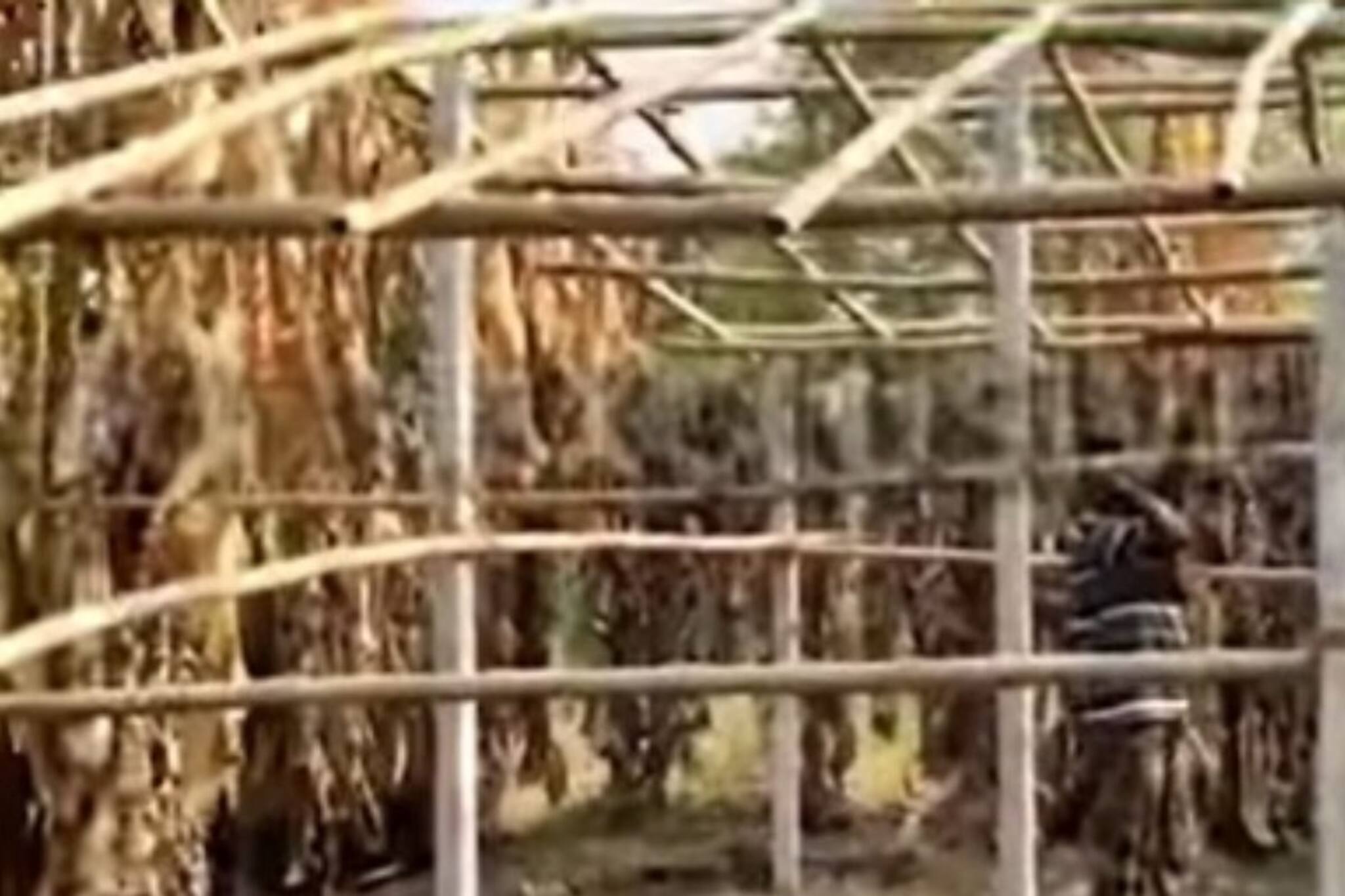 সেচ দফতরের জমি দখল! খবর পেয়ে যা করল পুলিশ শুনলে চোখ কপালে উঠবে