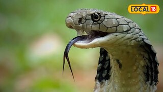 প্রতীকী ছবি প্রতীকী ছবি