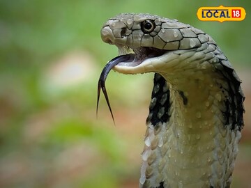 প্রতীকী ছবি