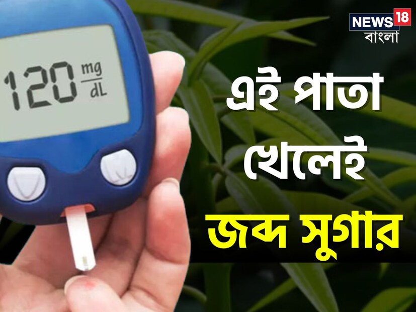 বলুন তো এমন কোন পাতা আছে যার কাছে জব্জ হয় ব্লাড সুগার?