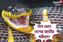 Knowledge Story: বলুন তো, সাপ কোন দেশের জাতীয় সরীসৃপ? উত্তর জানলে অবাক হবেন