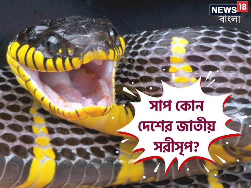 সাপ নিয়ে আমাদের কম-বেশী সকলেরই ভীতি কাজ করে। সাপ নিয়ে জানার কৌতুহলও কম নয়। কিন্তু বলুন তো, সাপ কোন দেশের জাতীয় সরীসৃপ? এর উত্তর অনেকের অজানা।