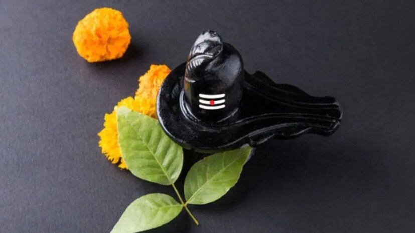 মন্দিরে না গিয়ে বাড়িতেও পালন করা যায় নীলষষ্ঠী ব্রত। তার জন্য মনে রাখুন কিছু খুঁটিনাটি নিয়ম। বলছেন জ্যোতিষ বিশেষজ্ঞ অরবিন্দ ত্রিপাঠী।