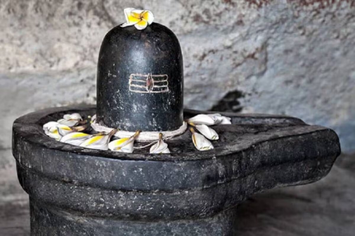 নীলষষ্ঠীতে ডাবের জল দিয়ে অভিষেক করুন মহাদেবের। নিবেদন করুন আকন্দের মালা।