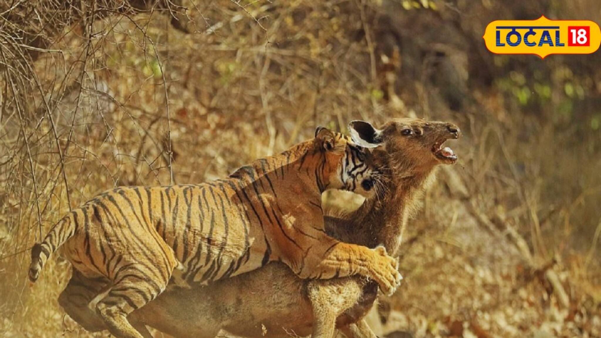 গলা জড়ালেই কেউ বন্ধু হয় না, কীভাবে চিনবেন প্রকৃত বন্ধু? জানুন মনোবিদের টিপস