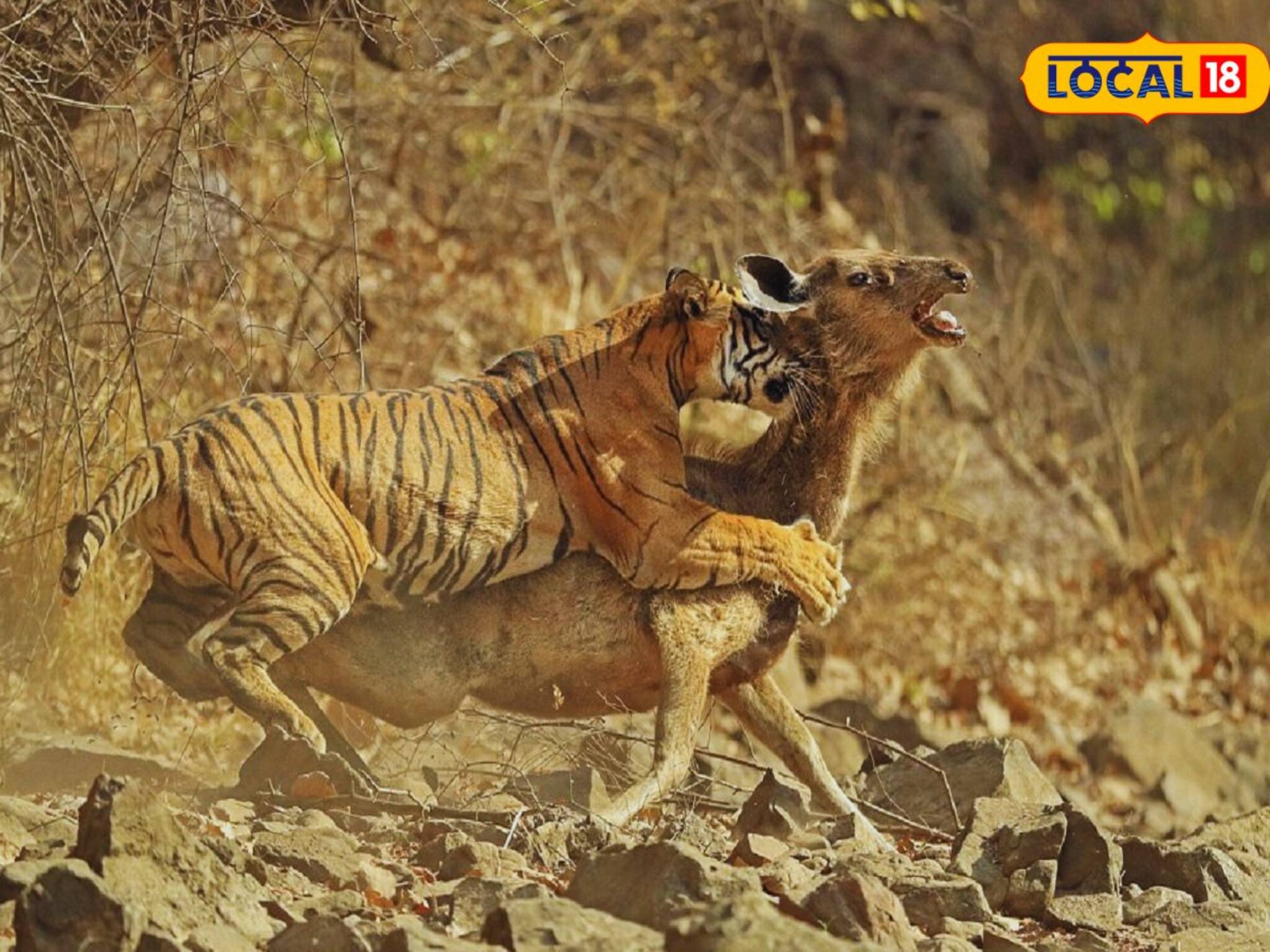গলা জড়ালেই কেউ বন্ধু হয় না, কীভাবে চিনবেন প্রকৃত বন্ধু? জানুন মনোবিদের টিপস