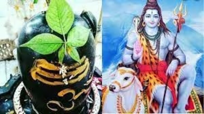 নীলষষ্ঠী ব্রত পালনে ব্রতীরা অবশ্যই সেই নিয়মগুলি পালন করুন। তাহলে ব্রতপালনের শ্রেষ্ঠ ফল লাভ করবেন। বলছেন জ্যোতিষ বিশেষজ্ঞ অরবিন্দ ত্রিপাঠী। 