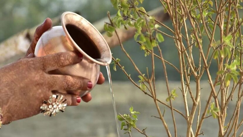 চৈত্র সংক্রান্তি থেকে বৈশাখ মাস জুড়ে তুলসিগাছের সেবা করলে মা লক্ষ্মীর আশীর্বাদে কোনও ধনসম্পদের অভাব হবে না৷ এই দিনে দরিদ্রদের অন্নবস্ত্র ও অর্থদান করুন সাধ্যমতো৷
