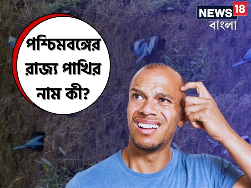 ভারতের জাতীয় পাখির নাম ময়ূর তা আমাদের সকলের জানা। কিন্তু পশ্চিমবঙ্গের রাজ্য পাখির নাম কী? দেখা গিয়েছে সেই উত্তর অনেকের কাছেই অজানা।