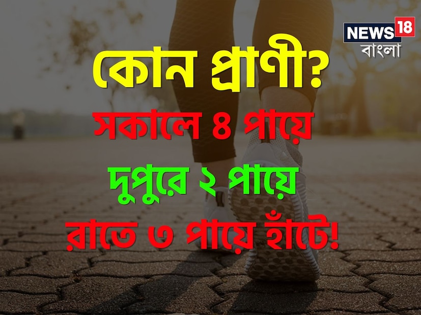 General Quiz: যে কোনও পরীক্ষায় উত্তীর্ণ হতে গেলে সাধারণ জ্ঞান এবং কারেন্ট অ্যাফেয়ার্স খুবই প্রয়োজন। এসএসসি, ব্যাঙ্কিং, রেল এবং অন্যান্য প্রতিযোগিতামূলক পরীক্ষার সময় এধরনের অনেক প্রশ্ন জিজ্ঞাসা করা হয়। এরকমই কয়েকটা প্রশ্ন আজ জানানো হবে, যা আগে কখনও শোনেননি৷ নিচের প্রশ্নগুলো মনোযোগ সহকারে পড়ে উত্তর দিন, অনেকগুণ বেড়ে যাবে আপনার সাধারণ জ্ঞান৷ 