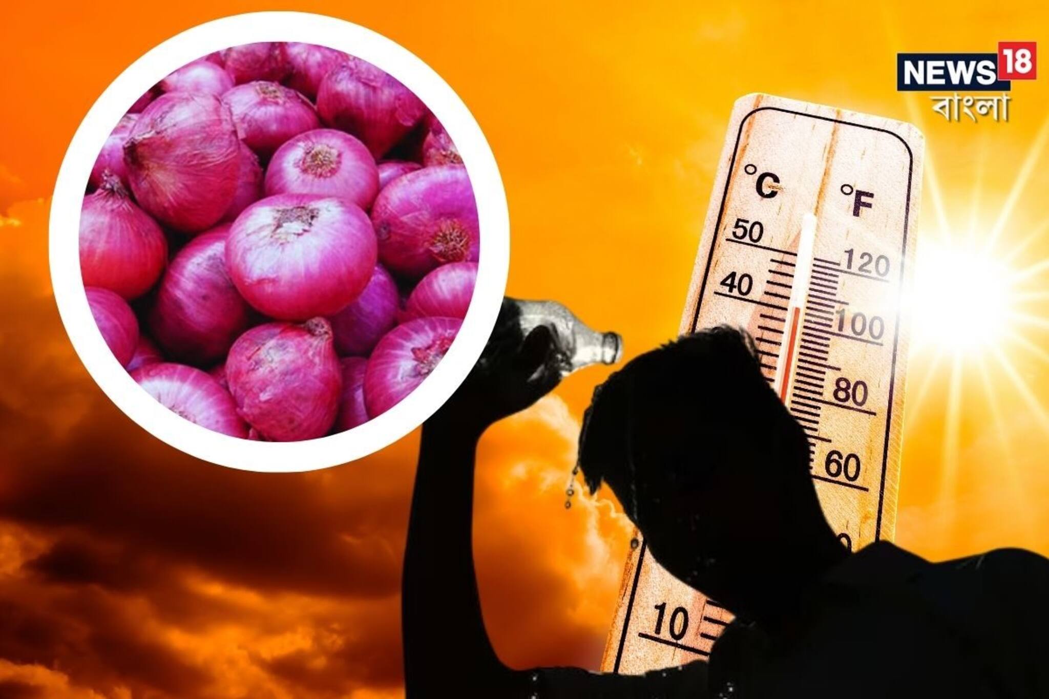 হিট স্ট্রোকের ঝুঁকি এড়াতে পকেটে পেঁয়াজ রাখছেন! আদৌ কি ঠিক? কী বলছেন বিশেষজ্ঞ?