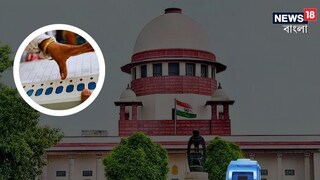 বড় রায় শীর্ষ আদালতের