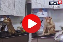 বাড়িতে ঢুকে পিউরিফায়ারের জল খাচ্ছে হনুমান, ভাইরাল ‘স্মার্ট হনুমানের‘ ভিডিয়ো