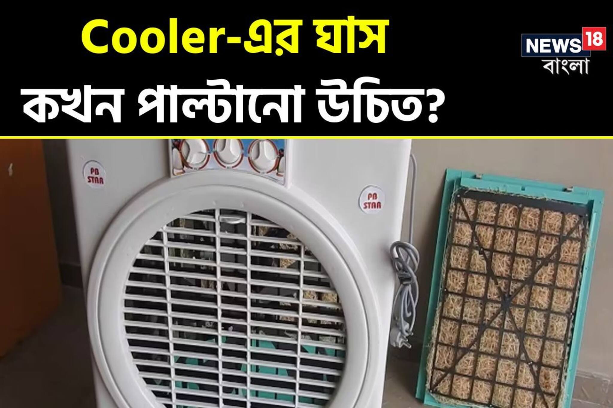 Air কুলারের Cool-ঘাস কখন পাল্টানো উচিত? সঠিক সময় জানুন! নইলে দেবে গরম গরম হাওয়া