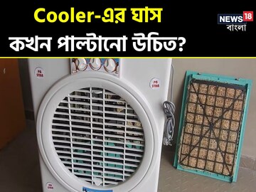 Air কুলারের Cool-ঘাস কখন পাল্টানো উচিত? সঠিক সময় জানুন! নইলে দেবে গরম গরম হাওয়া Air কুলারের Cool-ঘাস কখন পাল্টানো উচিত? সঠিক সময় জানুন! নইলে দেবে গরম গরম হাওয়া