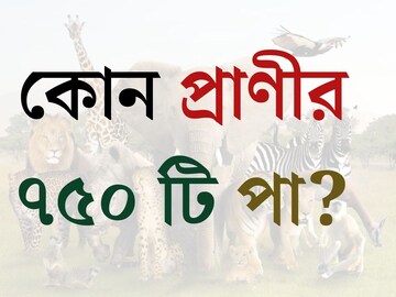 বলুন তো কোন প্রাণীর ৭৫০ টি পা? ৯৯% লোকজনই ভুল উত্তর দিয়েছেন, আপনি জানেন কি?