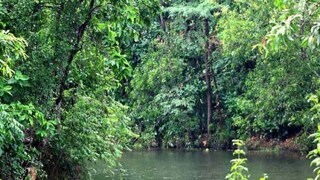 প্রতীকী ছবি