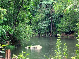 প্রতীকী ছবি