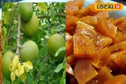 গরমে পেট ঠান্ডা রাখে সস্তার ফল থেকে তৈরি এই খাবার! কিন্তু যখন খুশি খেলে চলবে না