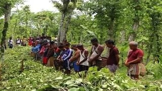 ভয়ঙ্কর ঘটনা (ফাইল ছবি)