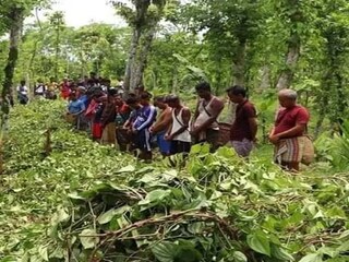 ভয়ঙ্কর ঘটনা (ফাইল ছবি)