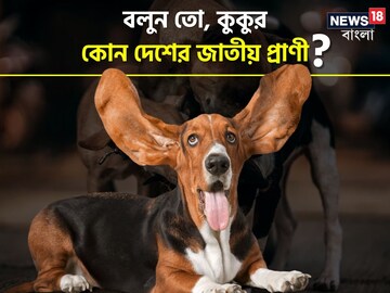 ভাল তো বাসেন,কিন্তু কুকুর কোন দেশের জাতীয় প্রাণী জানেন?শুনে চমকে উঠবেন জাস্ট
