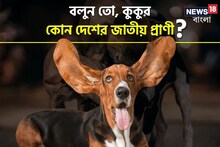 ভাল তো বাসেন,কিন্তু কুকুর কোন দেশের জাতীয় প্রাণী জানেন?শুনে চমকে উঠবেন জাস্ট