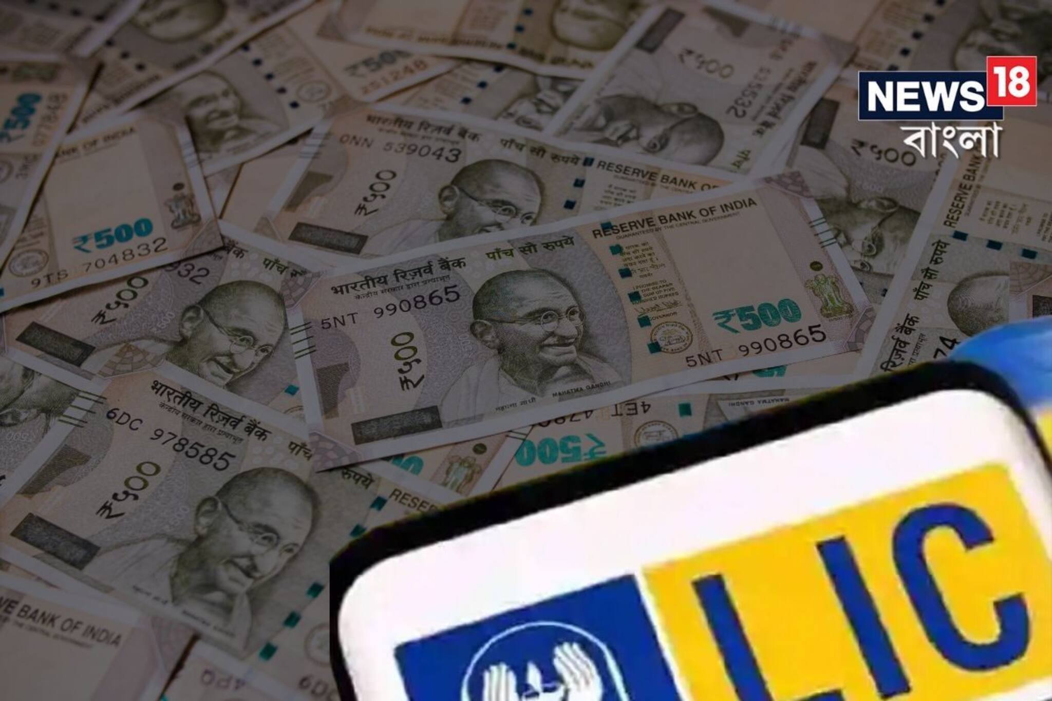 আপনি LIC-তে বিনিয়োগ করেন, কিন্তু LIC আপনার টাকা নিয়ে কী করে জানেন কি?