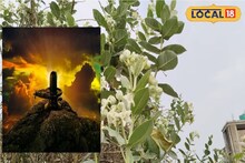 চৈত্রমাস ‘বাবা’-র মাস,এই সময়ে বাড়ির পাশে জঙ্গলে ফুটে থাকা ফুলে করুন শিবের পুজো