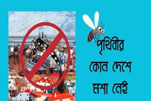 পৃথিবীর একমাত্র দেশ, যেখানে একটিও মশা নেই! বলুন তো কোন দেশ? বিশ্বাস হবে তো শুনে!