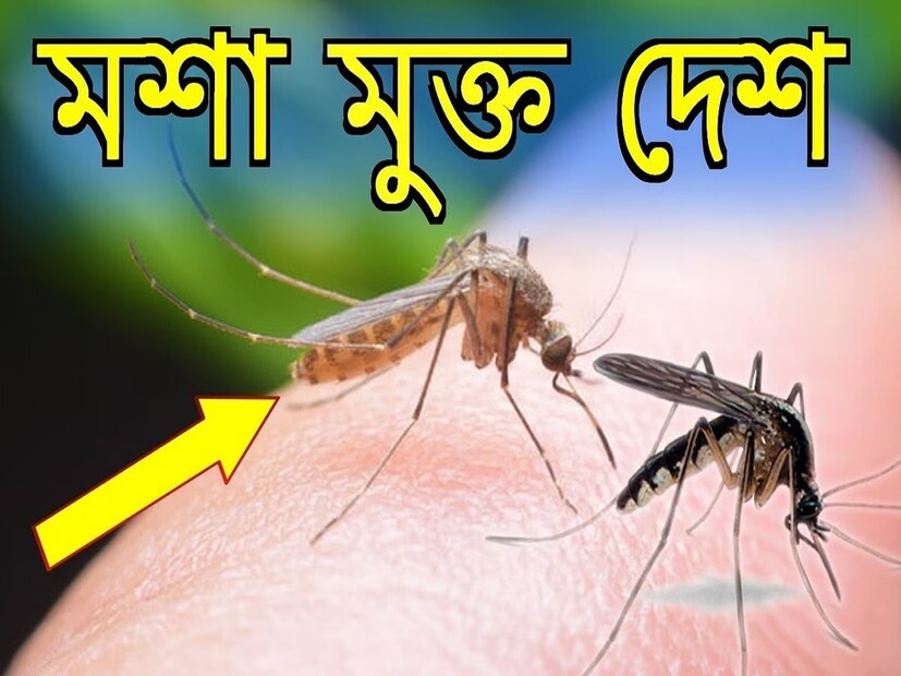 যাদের কথা বলা হচ্ছে তাদের সঙ্গে আমরা সবাই পরিচিত। আমাদের নিত্যদিনের সঙ্গী এই পতঙ্গের নাম মশা। বিশ্বের সব জায়গায় দাপিয়ে বেড়ায় এরা, কেবল একটি অঞ্চল ছাড়া। জানেন কি, কোন জায়গা বা দেশ সেটি?
