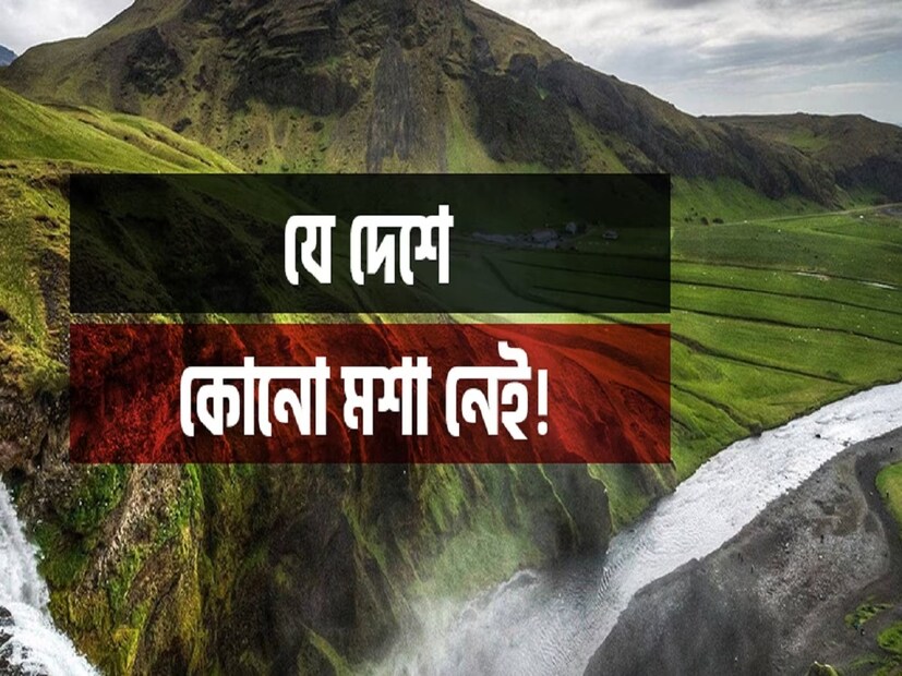 সেই জায়গাটি হল নর্ডিক অঞ্চলের দেশ আইসল্যান্ড। কিন্তু কেন এই অঞ্চলে মশার তাণ্ডব নেই। এর উত্তর, দেশটির আবহাওয়া। আইসল্যান্ডের আবহাওয়া এত বেশি প্রতিকূল যে মশার টিকে থাকার কোনও সম্ভাবনা নেই সেখানে।
