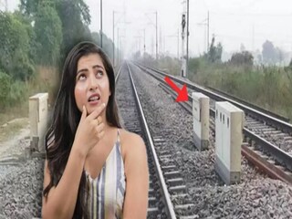 এই বক্সগুলি কেন থাকে?