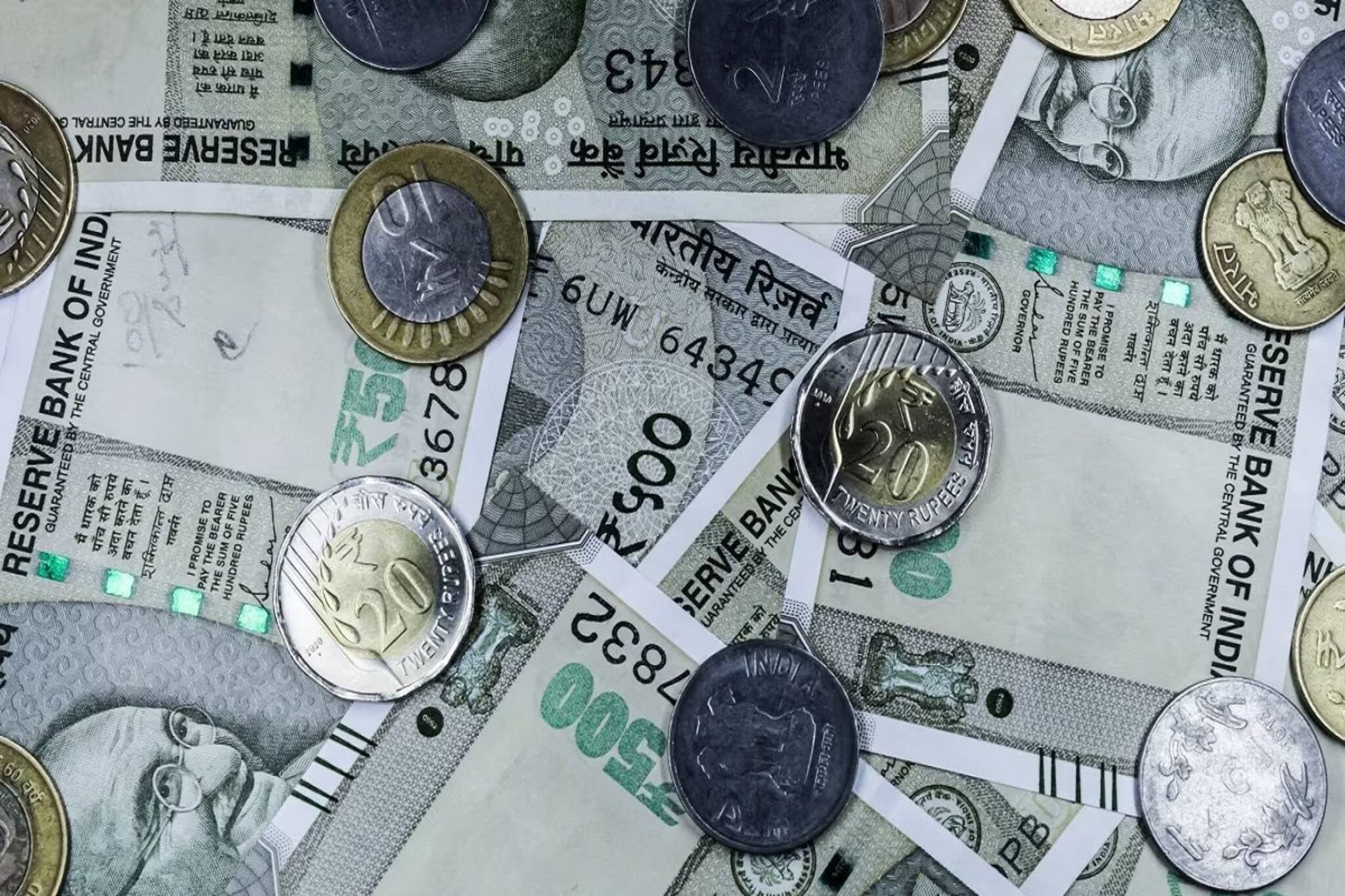 এই প্রাণী প্রতিপালন করে মালামাল হবেন আপনিও, জানেন কী?