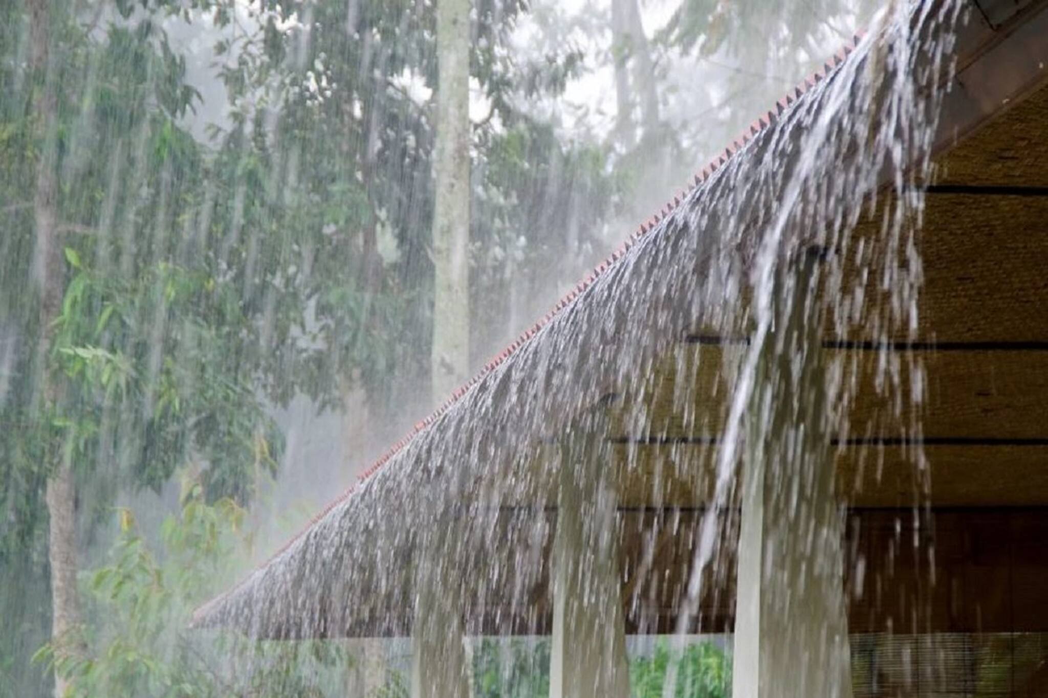 রবি থেকে আবহাওয়ার খেলা শুরু! বজ্রবিদ্যুৎ-সহ বৃষ্টিতে ভিজবে দক্ষিণের কোন জেলা?