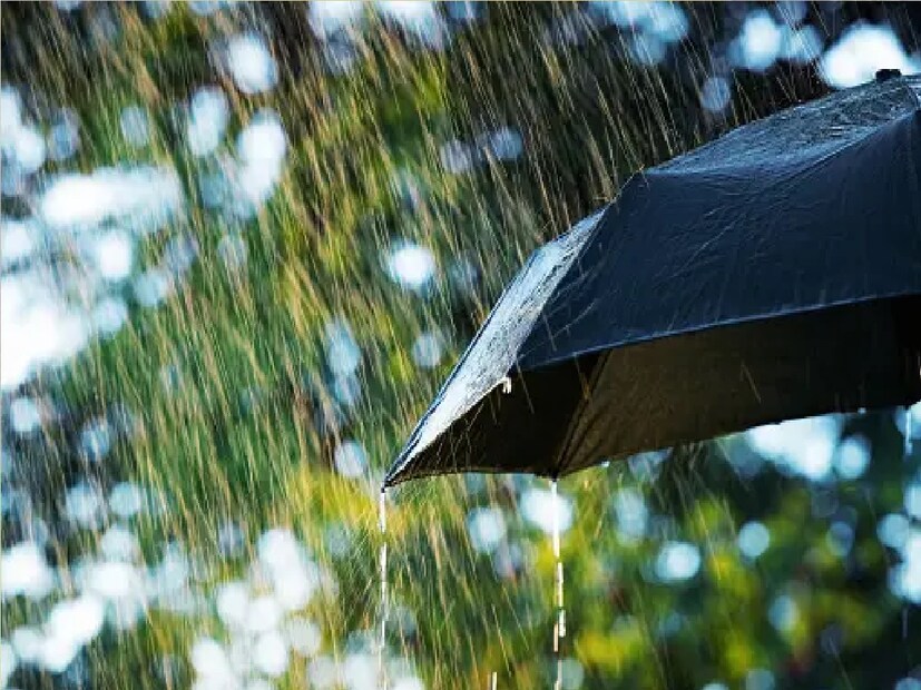 *জেলায় জেলায় তুমুল ঝড়বৃষ্টির পূর্বাভাস। শনি এবং রবিবার  উত্তরবঙ্গের একাধিক জেলায় ব্যাপক বৃষ্টির সম্ভাবনা। দক্ষিণের জেলাগুলিতেও বৃষ্টি হবে। সংগৃহীত ছবি। 