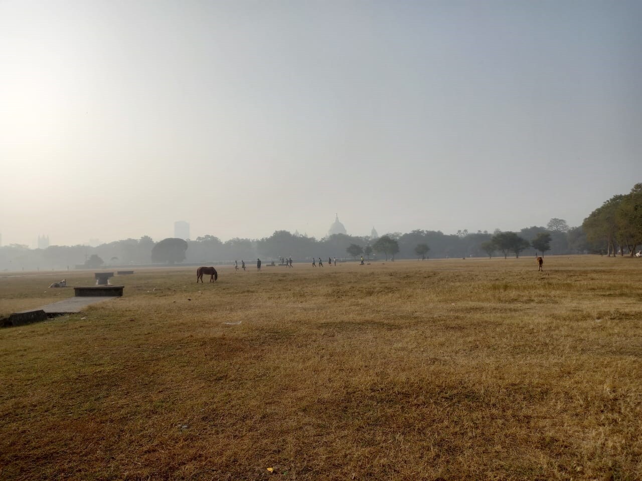 কলকাতায় আজ সর্বনিম্ন তাপমাত্রা ২৬.৩ ডিগ্রি সেলসিয়াস। স্বাভাবিক তাপমাত্রার থেকে যা ১ ডিগ্রি সেলসিয়াস বেশি। গতকাল, মঙ্গলবার বিকেলে সর্বোচ্চ তাপমাত্রা ছিল ৩৫.২ ডিগ্রি সেলসিয়াস। যা স্বাভাবিক তাপমাত্রা । বাতাসে আপেক্ষিক আর্দ্রতার পরিমাণ ৩৫ থেকে ৮৪ শতাংশ। আগামী ২৪ ঘণ্টায় কলকাতা শহরে তাপমাত্রা থাকবে ২৬ থেকে ৩৬ ডিগ্রি সেলসিয়াসের মধ্যে।