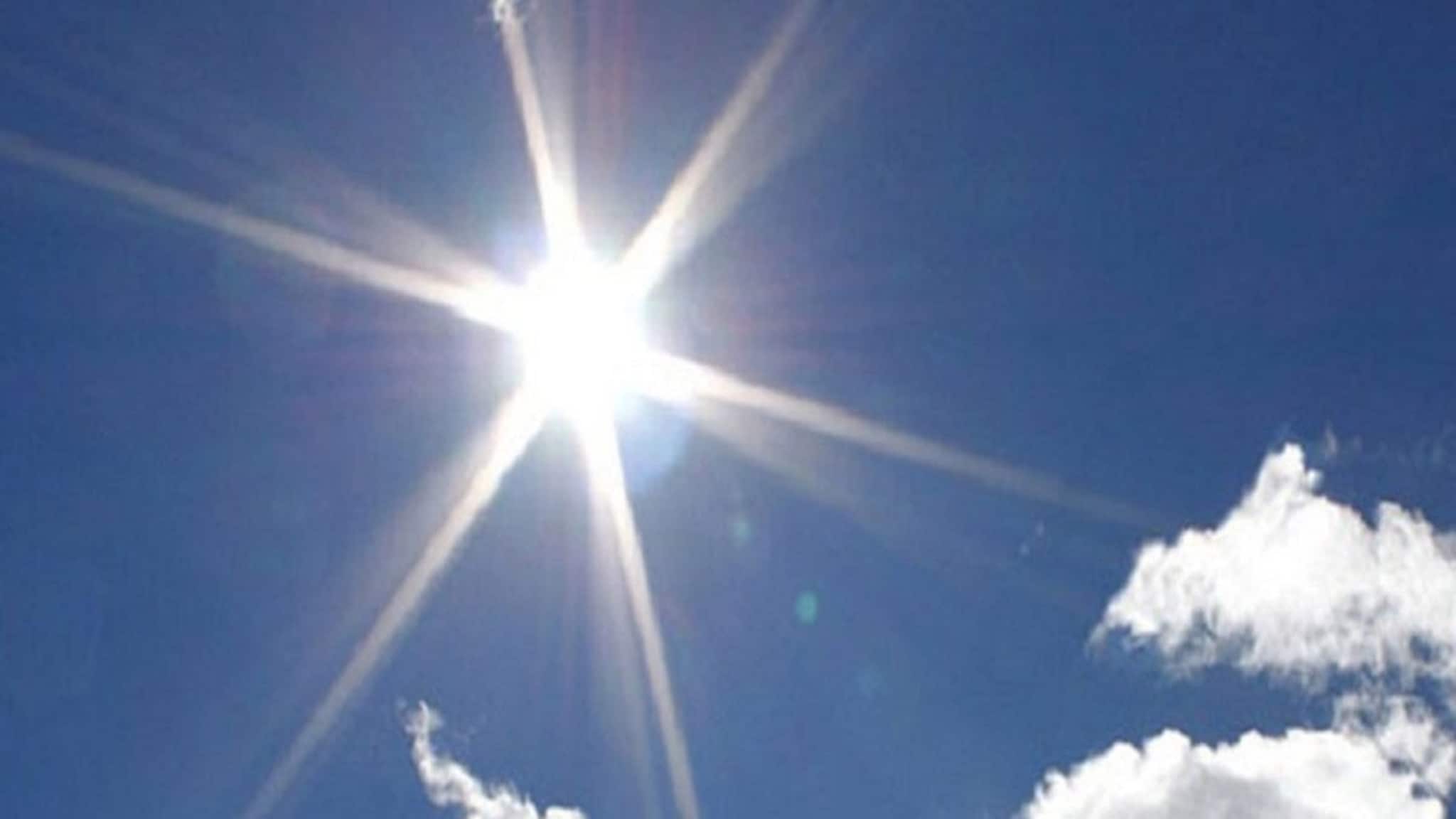 Nadia News: গরম থেকে পশু-পাখিদের কিছুটা রেহাই দিতে অনন্য উদ্যোগ নদিয়ার শান্তিপুরে