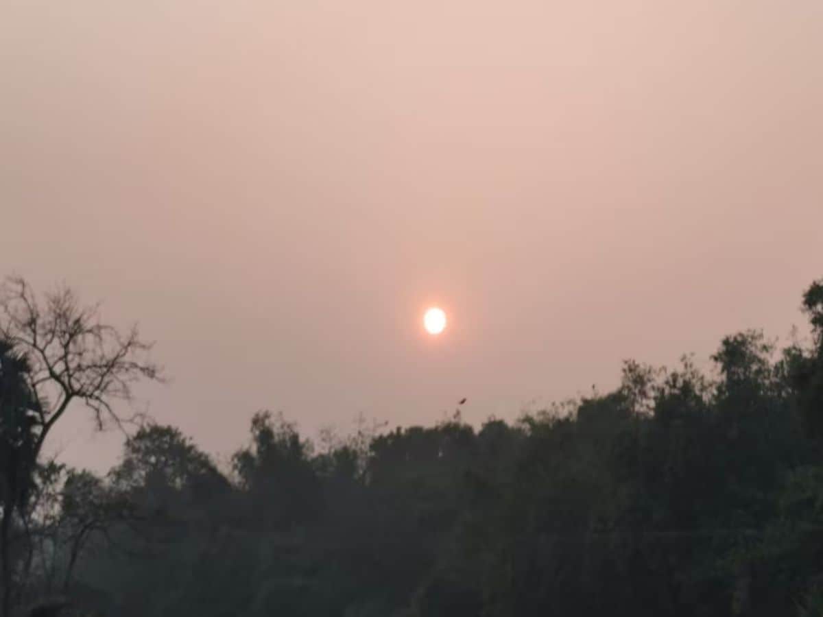 উত্তর দিনাজপুর : রোদ ঝলমলে। উষ্ণতা বাড়ছে। তাপমাত্রা ২৪-২৬ ডিগ্রি। 