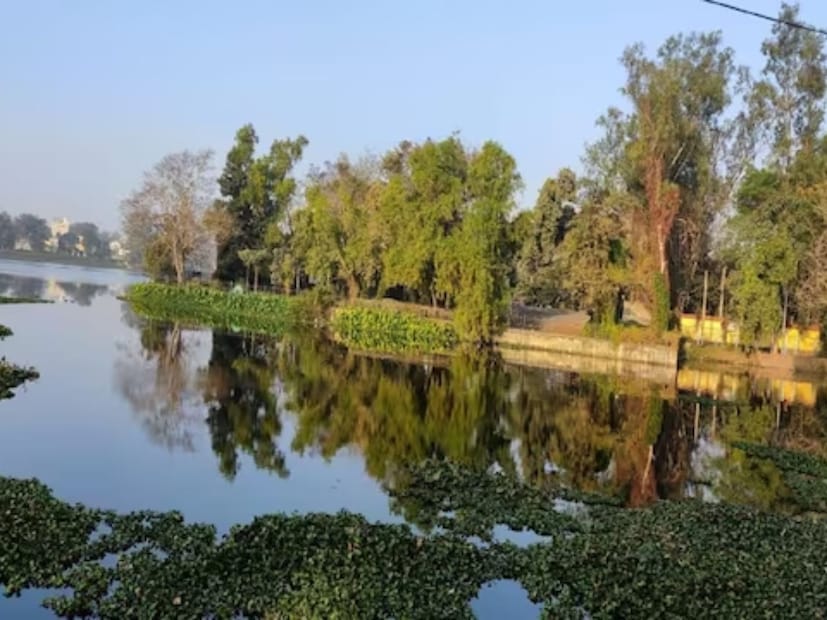 আলিপুরদুয়ার : চড়া রোদ। সর্বনিম্ন তাপমাত্রা ২৫-২৬ ডিগ্রি সেলসিয়াস। বাড়ছে পারদ। 