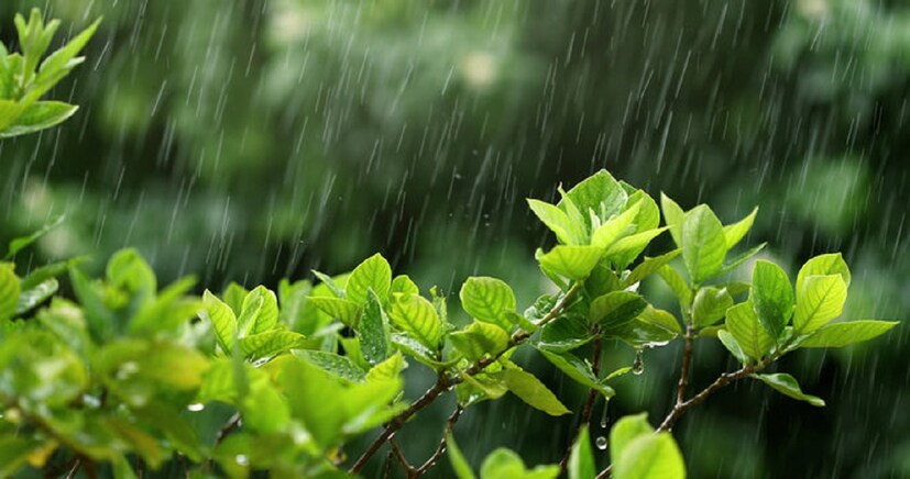 এছাড়াও উত্তর ও দক্ষিণ ২৪ পরগনার বেশ কিছু জায়গায় চরম তাপপ্রবাহের সর্তকতা থাকছে! ভয়াবহ হবে পরিস্থিতি!photo source collected 