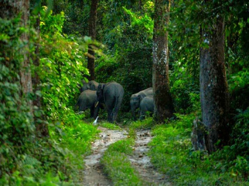 কোনও কিছু আবিষ্কার করতে বহু গবেষক এবং বিজ্ঞানী সারা জীবন সঁপে দেন, কিন্তু সাফল্য আসে না। অথচ কিছু মানুষ এতই ভাগ্যবান যে তাঁরা মাত্র কয়েকদিন বা মাসের মধ্যেই গুরুত্বপূর্ণ আবিষ্কার করে ফেলেন। এমনই এক ব্যক্তির গল্প ভাইরাল সোশ্যাল মিডিয়ায়। এই ব্যক্তির নাম ক্লিফোর্ড কোলথার্ড, যিনি অস্ট্রেলিয়ার বাসিন্দা। গবেষণার সময় এই ব্যক্তি হাজার হাজার বছরের পুরনো গুপ্তধনের সন্ধান পান, যা তাঁর ভাগ্যকে উজ্জ্বল করেছে। 