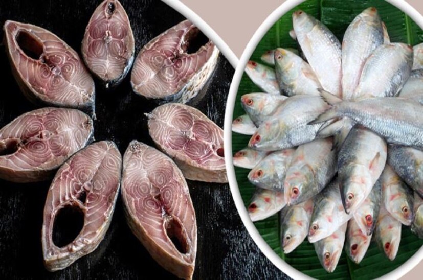 ডায়মন্ড হারবারের ইলিশ যেমন বাজারে বর্তমান সময়ে রয়েছে। জামাইষষ্ঠীর আগে বাংলাদেশে পদ্মার ইলিশের জোগান থাকবে পর্যাপ্ত পরিমাণে। কিন্তু, দামের বিষয়টি কিছুটা হলেও বেশি থাকবে ডায়মন্ড হারবারের ইলিশের তুলনায়। সেক্ষেত্রে কেজিপ্রতি ২০০০ টাকা দাম থাকা সম্ভাবনা রয়েছে।"