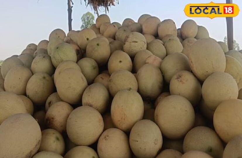 তরমুজে প্রচুর পরিমাণে ফাইবার পাওয়া যায়। এছাড়া এতে চিনি ও ক্যালরির পরিমাণও খুবই কম। যার কারণে এটি স্থূলতার সমস্যা থেকে মুক্তি দেয়। ওজন নিয়ন্ত্রণে খুবই কার্যকরী।