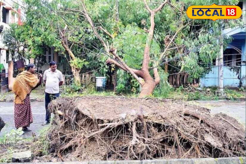 উপকূলবর্তী অঞ্চলগুলিতে ঘণ্টায় ১০০ কিলোমিটার বেগে ঝড় বইতে পারে। কলকাতা ও সংলগ্ন অঞ্চলেও ঝড়ের তাণ্ডব দেখা যেতে পারে। ঘণ্টায় ৮০ কিলোমিটার বেগে ঝড় বইতে পারে কলকাতা শহরে।photo source collected 