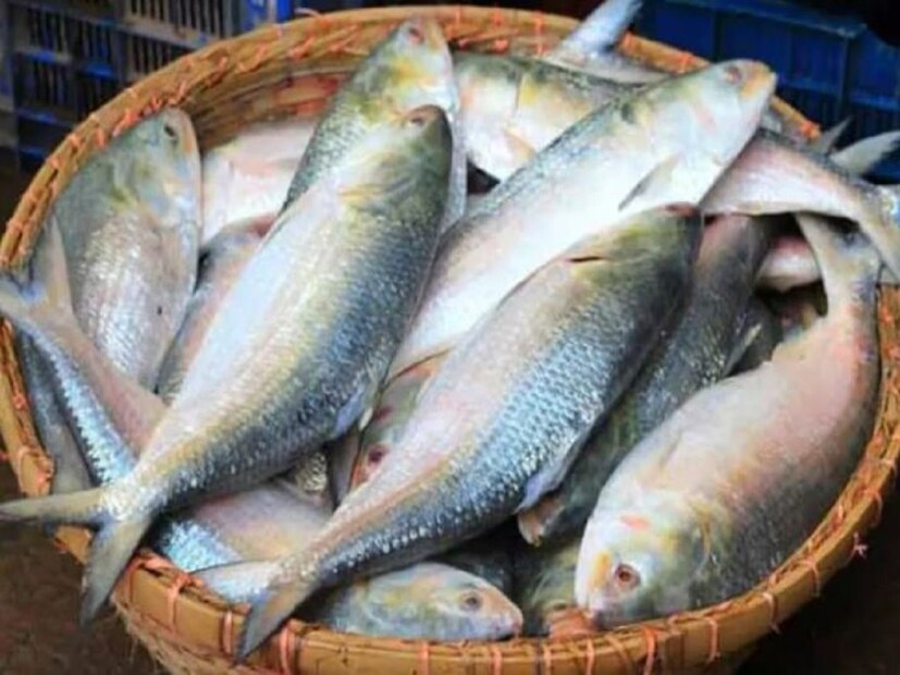 বাজারের এক ক্রেতা সদরুল মোল্লা জানান, "বর্তমান সময়ে বাজারে ইলিশ মাছের যা দাম তাতে কিনতে গিয়ে একটু চাপে পড়তে হচ্ছে। সেই দাম যদি আরও কিছুটা বেড়ে ওঠে তবে তো ইলিশ খাওয়া অসম্ভব ব্যাপার হয়ে দাঁড়াবে। তবে জামাইষষ্ঠীর বিশেষ দিনে বাংলাদেশের পদ্মার ইলিশ যদি পাওয়া যায়। সেক্ষেত্রে দাম দিয়ে কিনেলেও শান্তি রয়েছে।"